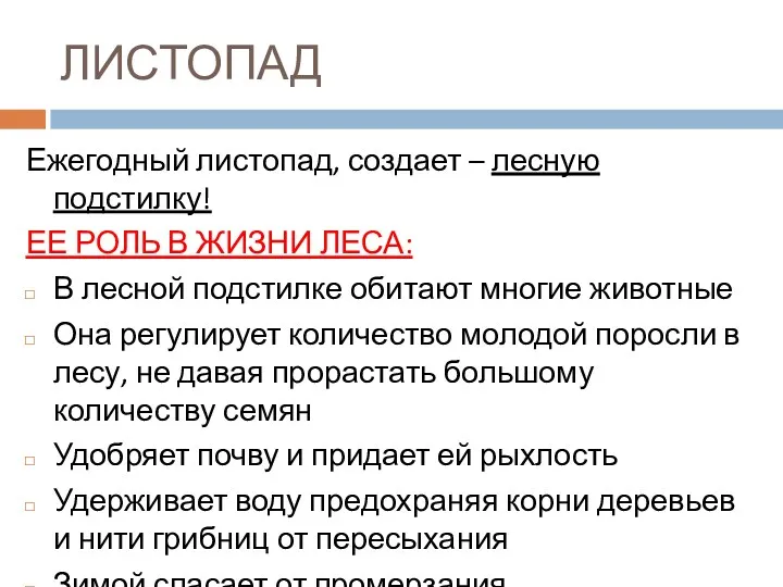 ЛИСТОПАД Ежегодный листопад, создает – лесную подстилку! ЕЕ РОЛЬ В ЖИЗНИ ЛЕСА: В