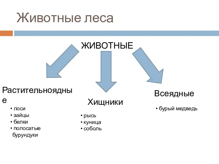 Животные леса ЖИВОТНЫЕ Растительноядные Хищники Всеядные лоси зайцы белки полосатые бурундуки рысь куница соболь бурый медведь