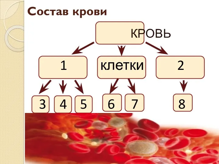 Состав крови КРОВЬ 1 клетки 2 3 4 5 6 7 8