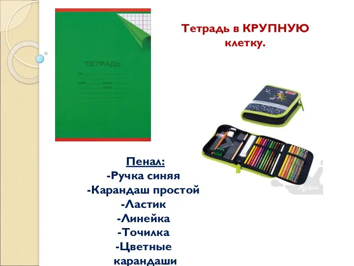 Тетрадь в КРУПНУЮ клетку. Пенал: Ручка синяя Карандаш простой Ластик Линейка Точилка Цветные карандаши