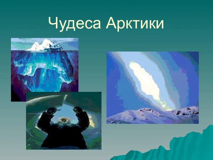 Чудеса Арктики