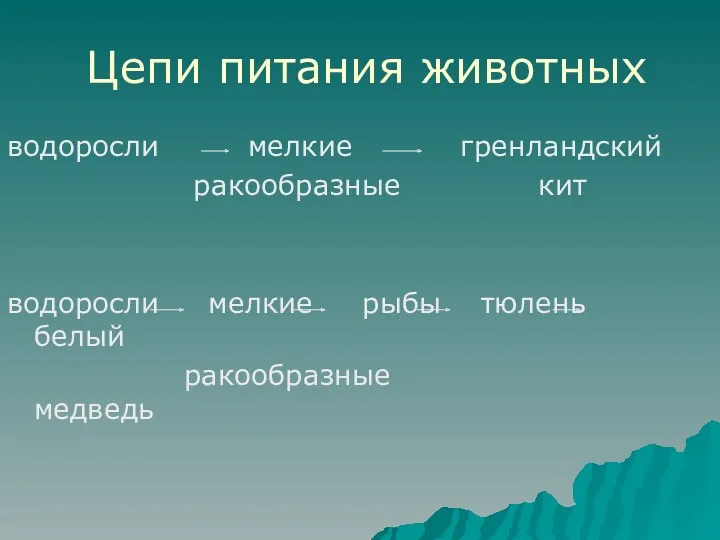 Цепи питания животных водоросли мелкие гренландский ракообразные кит водоросли мелкие рыбы тюлень белый ракообразные медведь