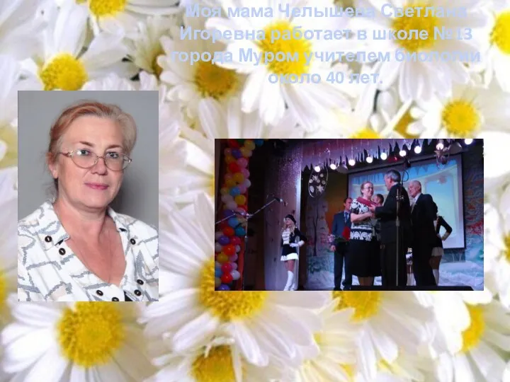 Моя мама Челышева Светлана Игоревна работает в школе №13 города Муром учителем биологии около 40 лет.
