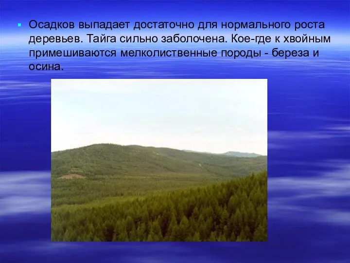 Осадков выпадает достаточно для нормального роста деревьев. Тайга сильно заболочена.