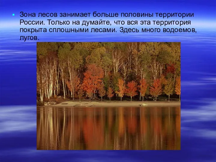 Зона лесов занимает больше половины территории России. Только на думайте,