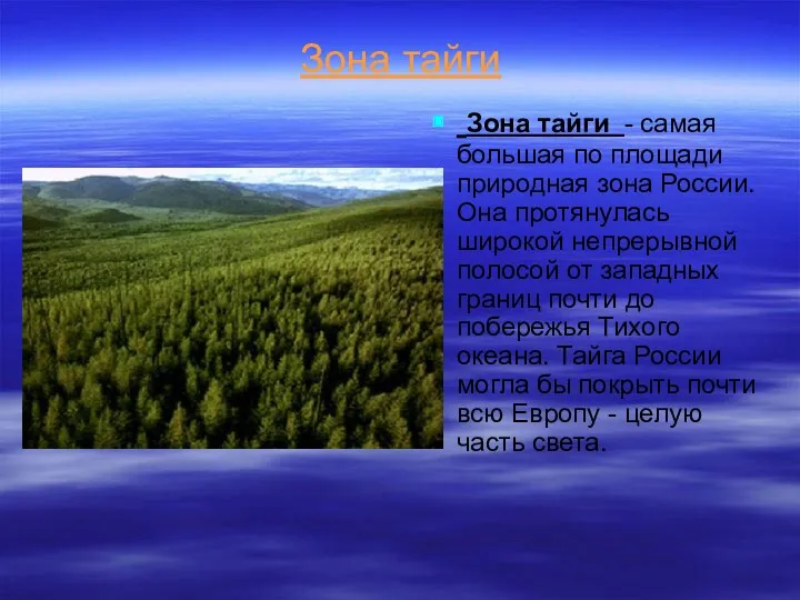 Зона тайги - самая большая по площади природная зона России.