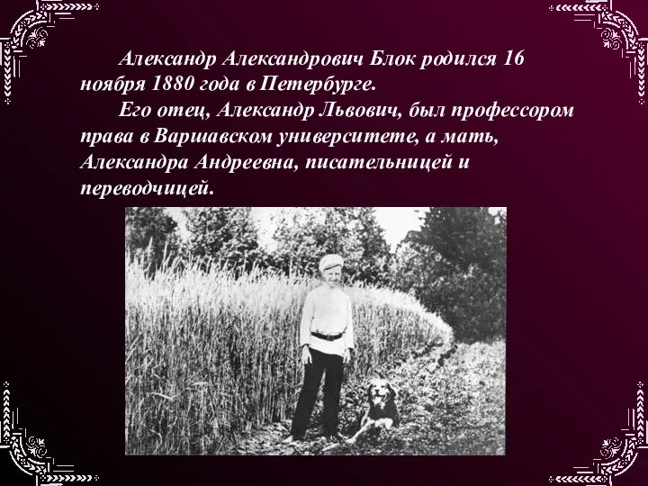 Александр Александрович Блок родился 16 ноября 1880 года в Петербурге.