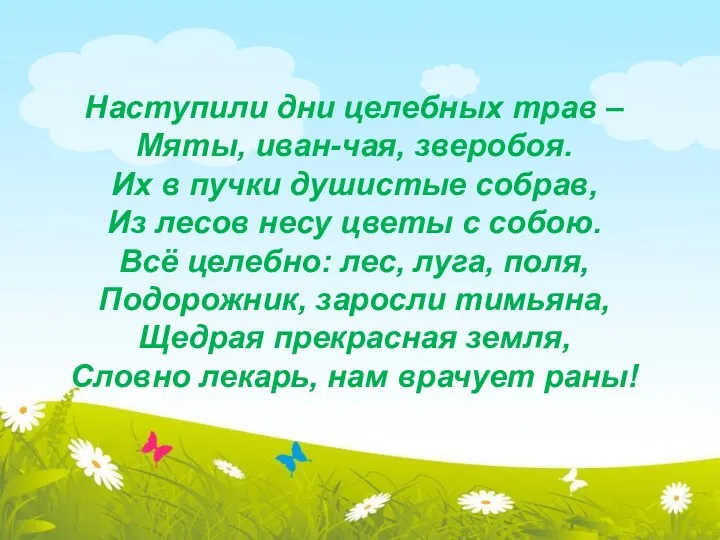 Наступили дни целебных трав – Мяты, иван-чая, зверобоя. Их в