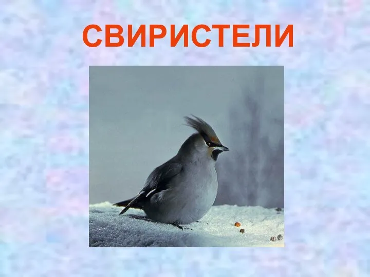 СВИРИСТЕЛИ