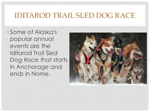 IDITAROD TRAIL SLED DOG RACE Some of Alaska's popular annual events are the