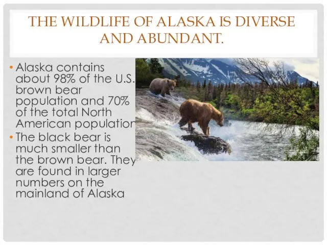 THE WILDLIFE OF ALASKA IS DIVERSE AND ABUNDANT. Alaska contains about 98% of