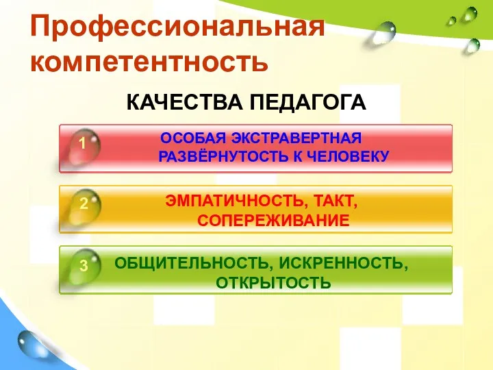 Профессиональная компетентность КАЧЕСТВА ПЕДАГОГА ОСОБАЯ ЭКСТРАВЕРТНАЯ РАЗВЁРНУТОСТЬ К ЧЕЛОВЕКУ ЭМПАТИЧНОСТЬ,