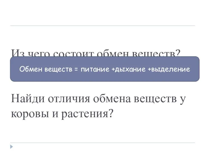 Из чего состоит обмен веществ? Найди отличия обмена веществ у