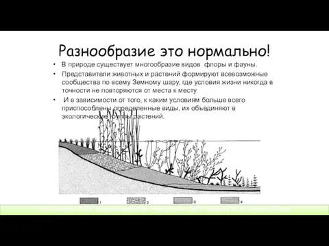 Разнообразие это нормально! В природе существует многообразие видов флоры и