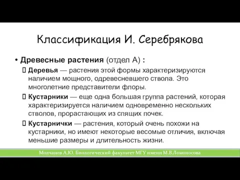 Классификация И. Серебрякова Древесные растения (отдел А) : Деревья —