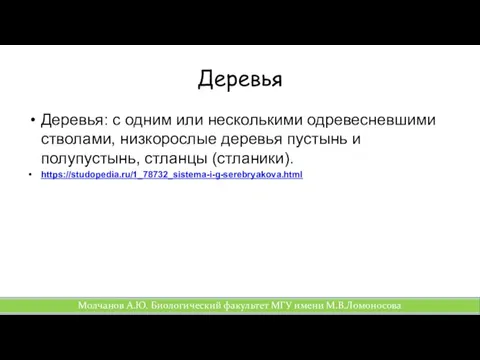 Деревья: с одним или несколькими одревесневшими стволами, низкорослые деревья пустынь