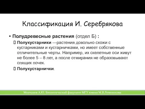 Классификация И. Серебрякова Полудревесные растения (отдел Б) : Полукустарники —растения