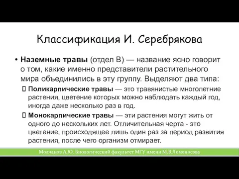 Классификация И. Серебрякова Наземные травы (отдел В) — название ясно