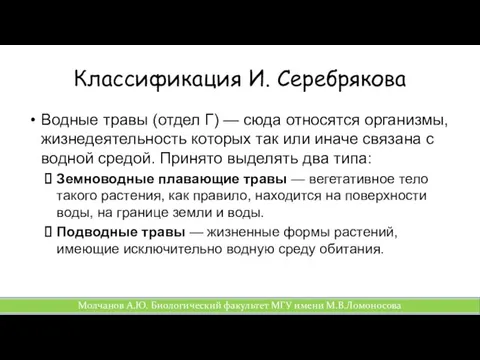 Классификация И. Серебрякова Водные травы (отдел Г) — сюда относятся