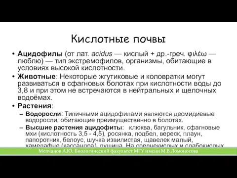 Кислотные почвы Ацидофилы (от лат. acidus — кислый + др.-греч.