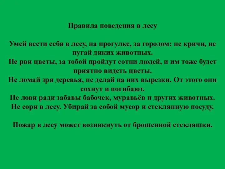 Правила поведения в лесу Умей вести себя в лесу, на