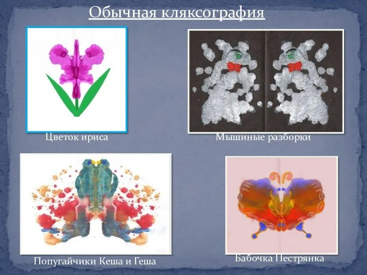 Обычная кляксография Цветок ириса Мышиные разборки Попугайчики Кеша и Геша Бабочка Пестрянка