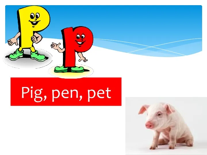 Pig, pen, pet