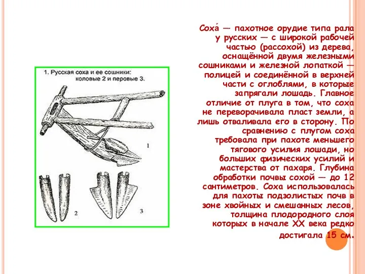 Соха́ — пахотное орудие типа рала у русских — с широкой рабочей частью