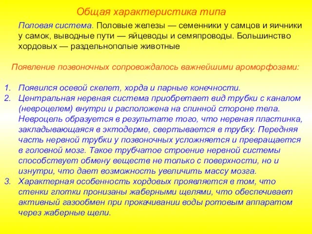 Общая характеристика типа Половая система. Половые железы — семенники у