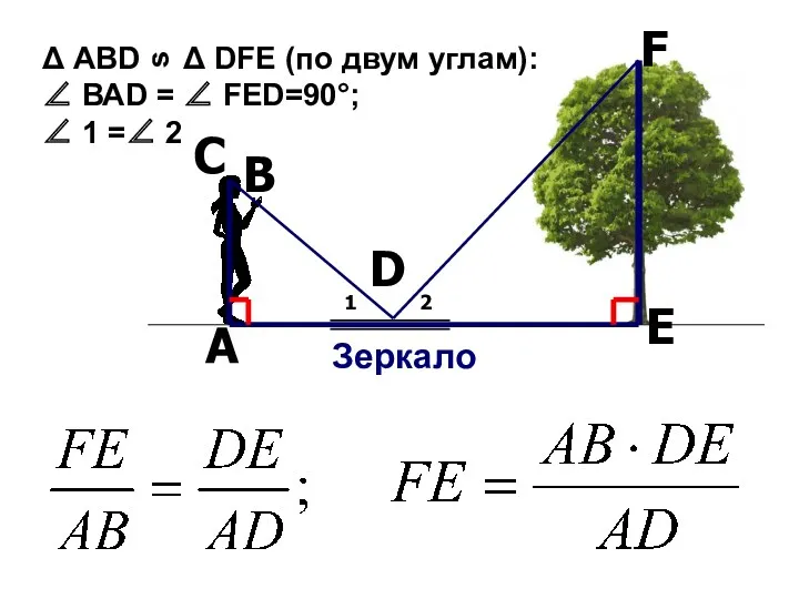 Зеркало F D В А С 1 2 E Δ АВD Δ DFE