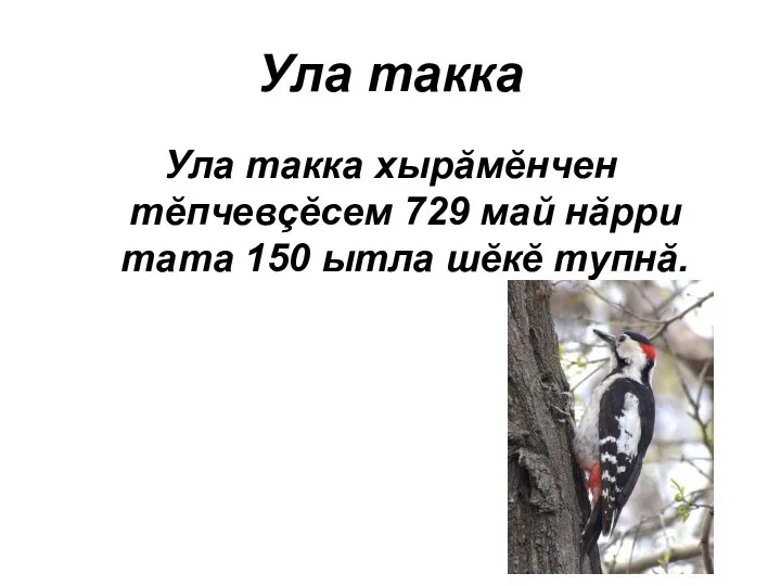 Ула такка Ула такка хырăмĕнчен тĕпчевçĕсем 729 май нăрри тата 150 ытла шĕкĕ тупнă.