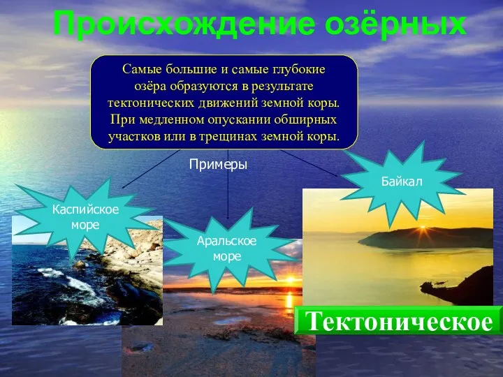 Происхождение озёрных котловин Аральское море Байкал Каспийское море Примеры Самые большие и самые