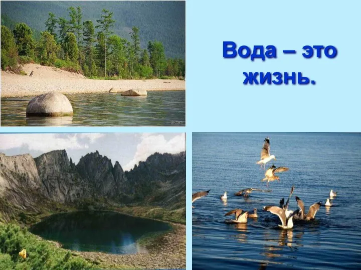 Вода – это жизнь.