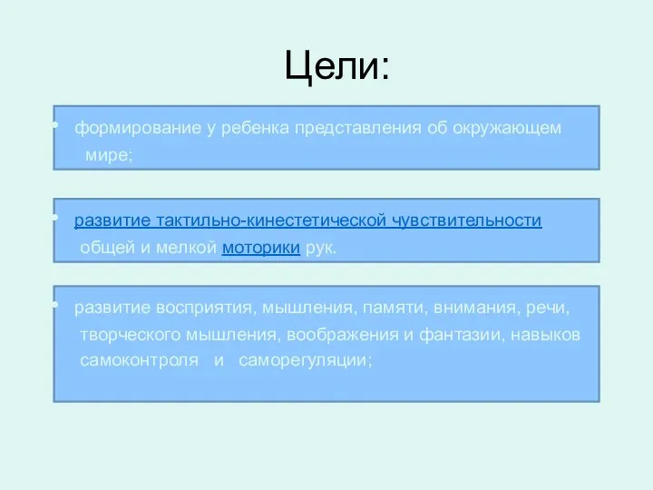 Цели: формирование у ребенка представления об окружающем мире; развитие тактильно-кинестетической