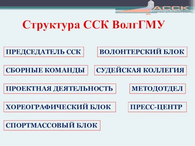 Структура ССК ВолгГМУ СПОРТМАССОВЫЙ БЛОК ВОЛОНТЕРСКИЙ БЛОК ПРОЕКТНАЯ ДЕЯТЕЛЬНОСТЬ ХОРЕОГРАФИЧЕСКИЙ