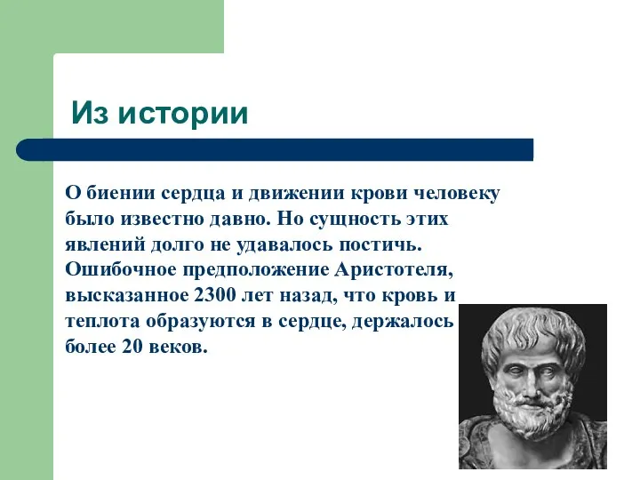 Из истории О биении сердца и движении крови человеку было известно давно. Но