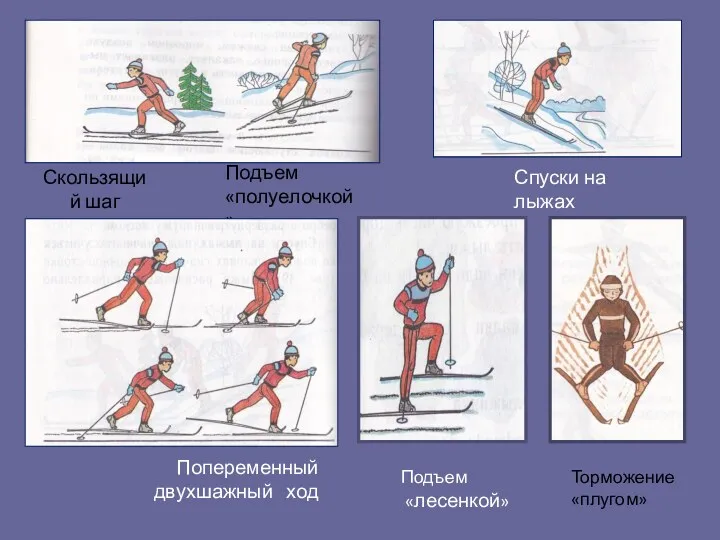 Подъем «лесенкой» Спуски на лыжах Подъем «полуелочкой» Скользящий шаг Попеременный двухшажный ход Торможение «плугом»