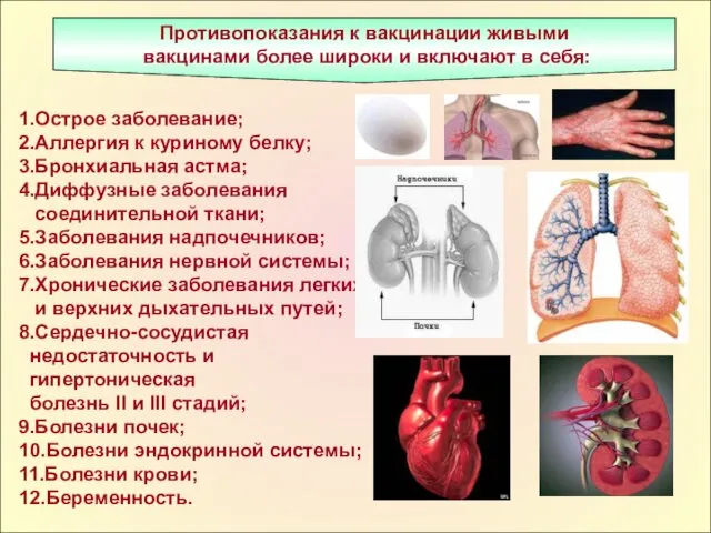 Противопоказания к вакцинации живыми вакцинами более широки и включают в