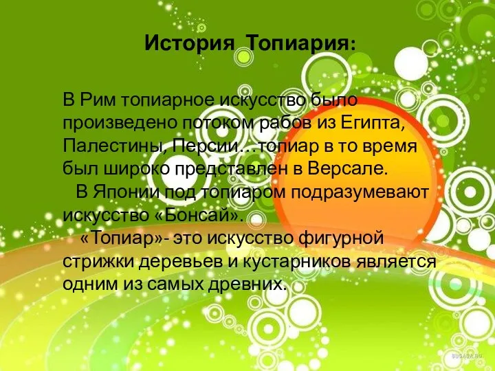 История Топиария: В Рим топиарное искусство было произведено потоком рабов