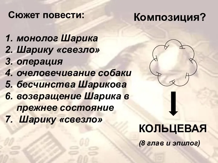 Сюжет повести: монолог Шарика Шарику «свезло» операция очеловечивание собаки бесчинства