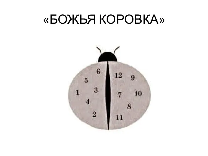 «БОЖЬЯ КОРОВКА»