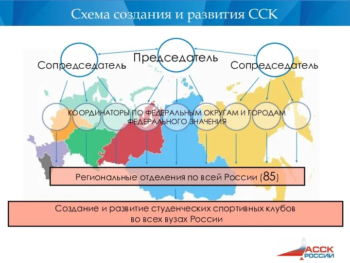 Председатель Сопредседатель Сопредседатель КООРДИНАТОРЫ ПО ФЕДЕРАЛЬНЫМ ОКРУГАМ И ГОРОДАМ ФЕДЕРАЛЬНОГО