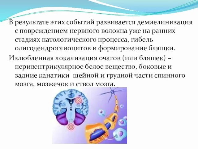 В результате этих событий развивается демиелинизация с повреждением нервного волокна