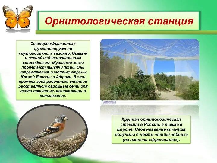 Орнитологическая станция Крупная орнитологическая станция в России, а также в