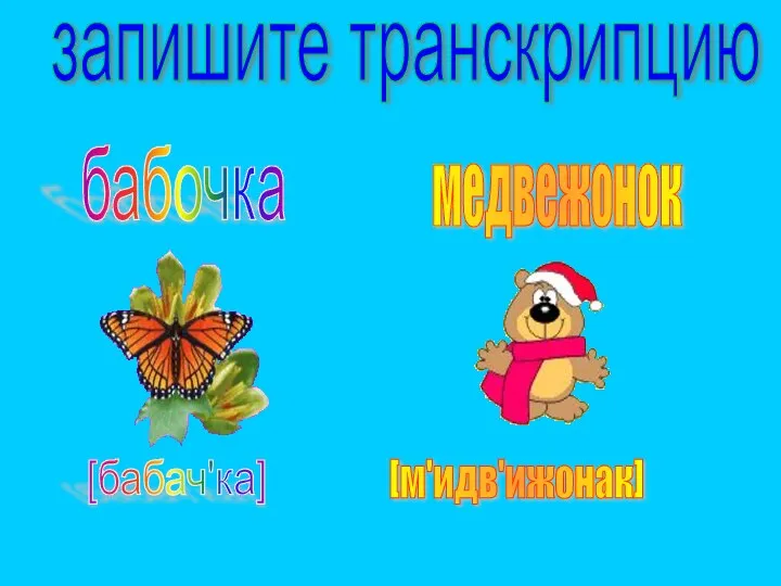 запишите транскрипцию медвежонок бабочка [м'идв'ижонак] [бабач'ка]