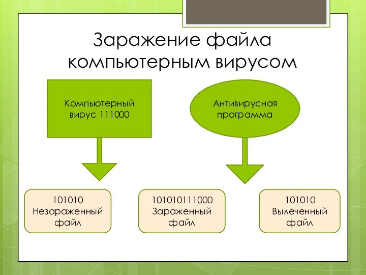 Заражение файла компьютерным вирусом Компьютерный вирус 111000 Антивирусная программа 101010