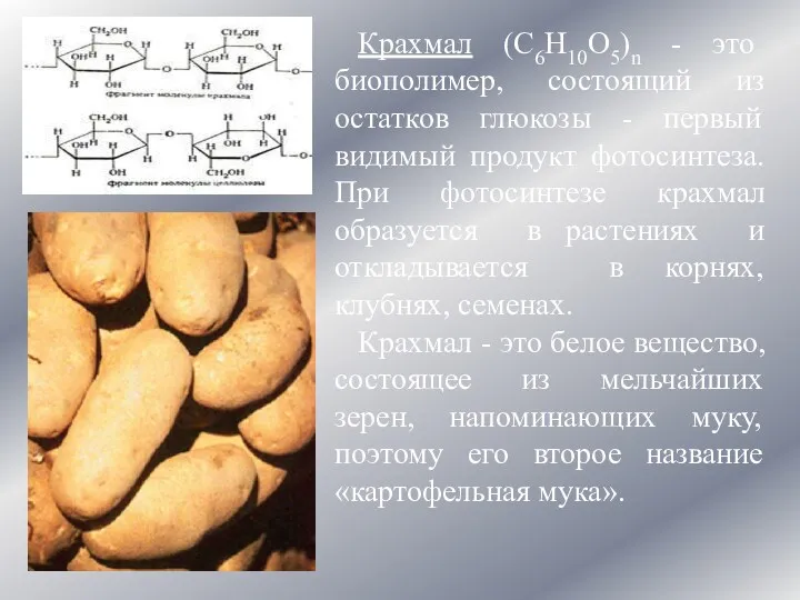 Крахмал (C6Н10О5)n - это биополимер, состоящий из остатков глюкозы - первый видимый продукт