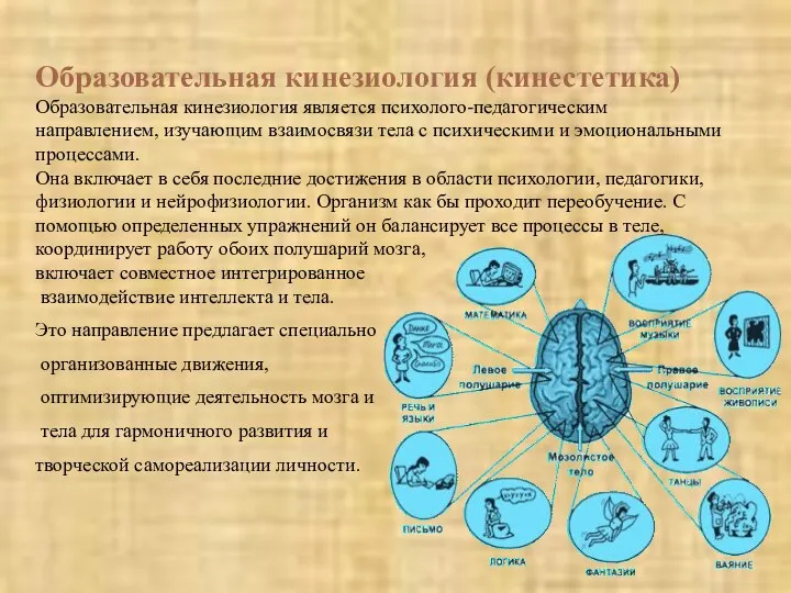 Образовательная кинезиология (кинестетика) Образовательная кинезиология является психолого-педагогическим направлением, изучающим взаимосвязи тела с психическими