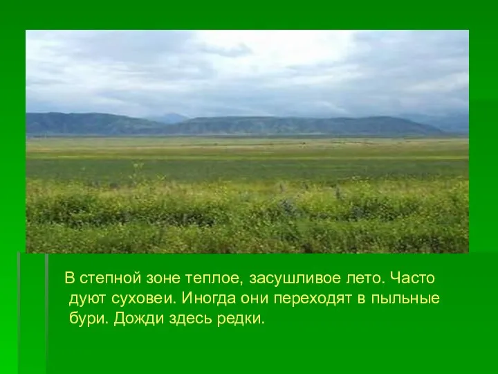 В степной зоне теплое, засушливое лето. Часто дуют суховеи. Иногда