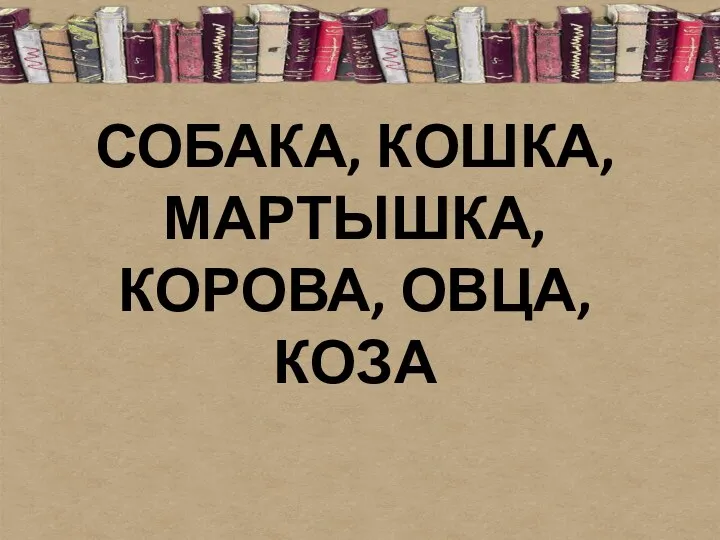 СОБАКА, КОШКА, МАРТЫШКА, КОРОВА, ОВЦА, КОЗА